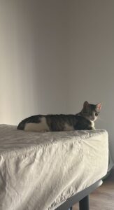 Erika